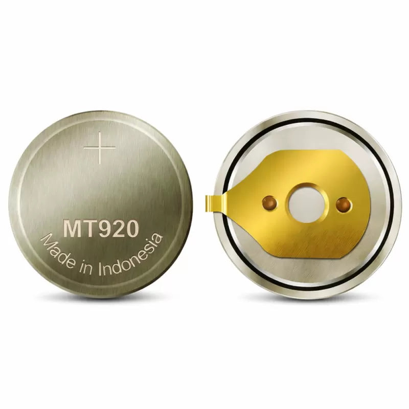 Acumulator MT920 (295-5600)