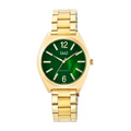 Ceas barbatesc auriu, ecran verde, Q&Q Q90B-005PY