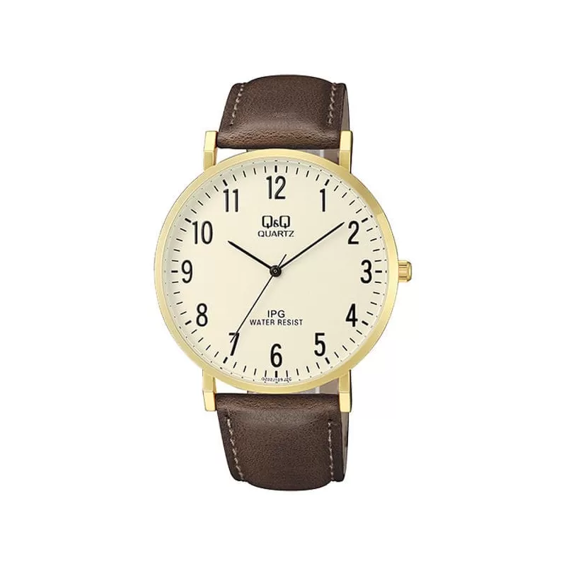 Ceas barbatesc Q&Q, curea maro, QZ02J103Y