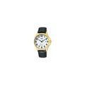 Ceas barbatesc Q&Q, curea neagra, QA06J104Y