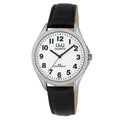 Ceas clasic barbatesc, Q&Q C192J304Y