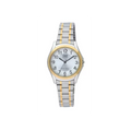 Ceas de dama clasic bicolor Q&Q Q207J404Y